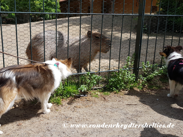 20190512_120959 20190512_120959