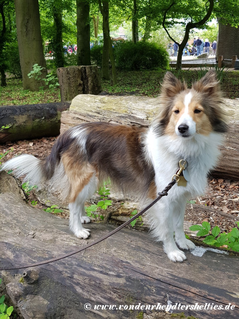 20190512_121331 20190512_121331