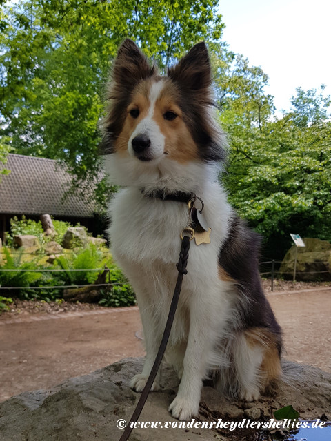 20190512_123740 20190512_123740