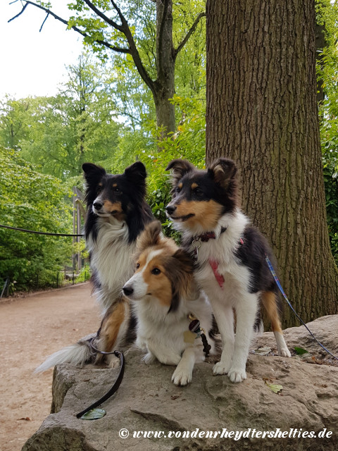 20190512_123847 20190512_123847