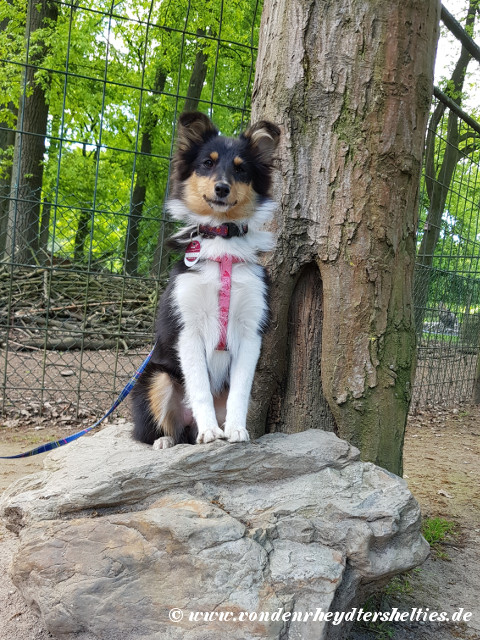 20190512_124048 20190512_124048