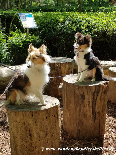 20190512_140957 20190512_140957