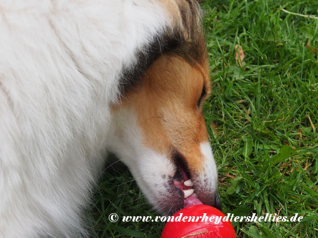 Aivi_2_P6163424 Aivi_2_P6163424