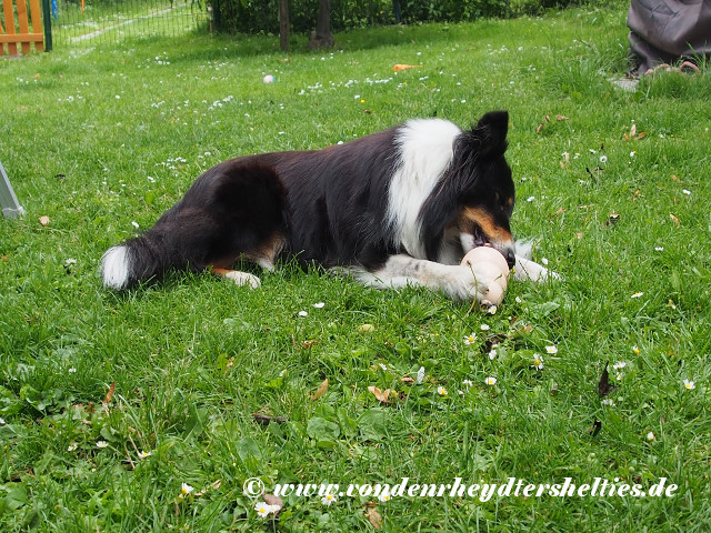 Gulie_1_P6163413 Gulie_1_P6163413