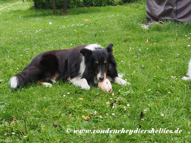 Gulie_2_P6163414 Gulie_2_P6163414