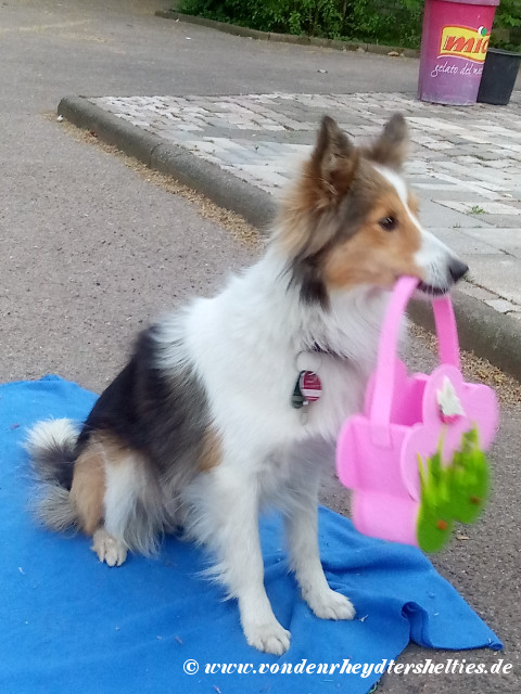 2019 04 18 IMG 20190418 195234 2CS