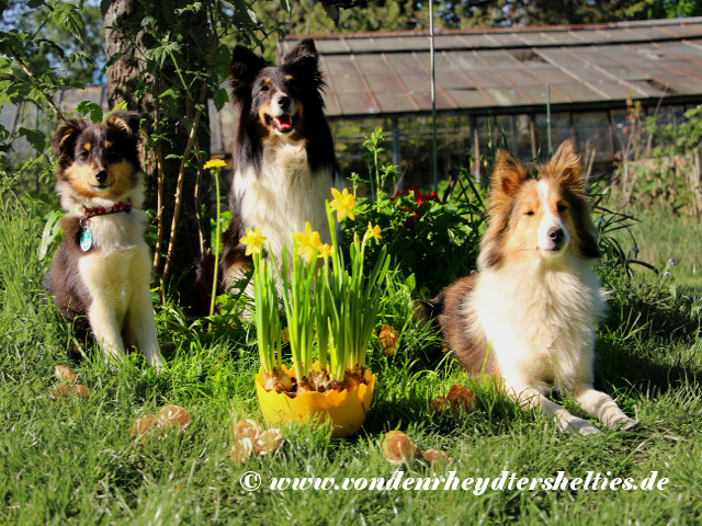 2019_04_22_Ostern 2019_04_22_Ostern