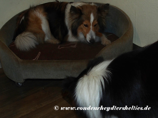 2019_08_06 2019_08_06