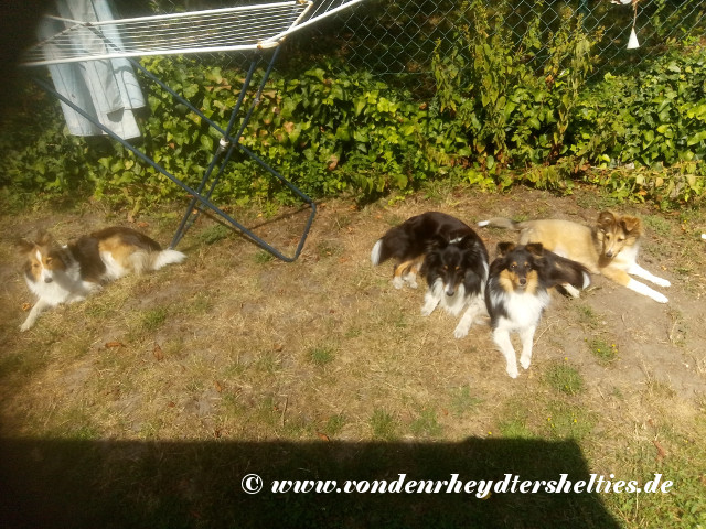 IMG_20190802_132812 IMG_20190802_132812