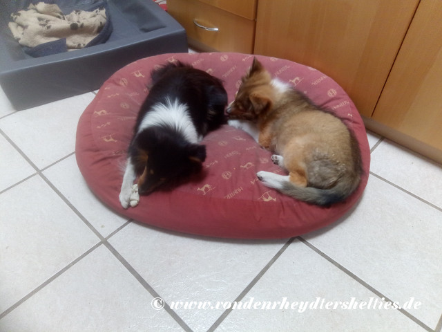 IMG_20190802_150034 IMG_20190802_150034