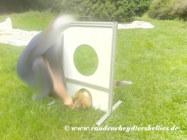 IMG_20190815_130723 IMG_20190815_130723