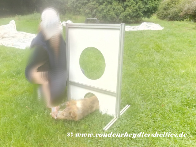 IMG_20190815_130726 IMG_20190815_130726