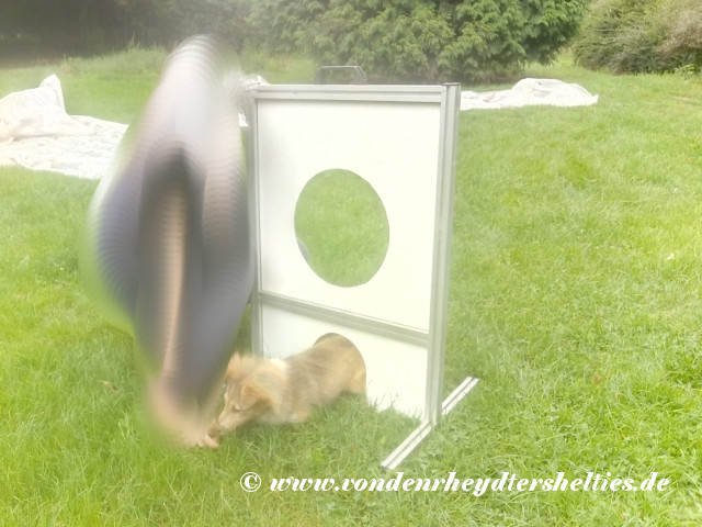 IMG_20190815_130728 IMG_20190815_130728