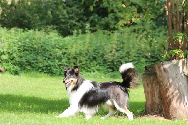 IMG 0384 Bruno Monty