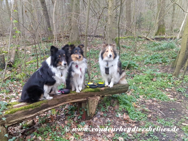 IMG_20200314_150214 IMG_20200314_150214