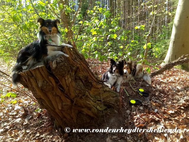 IMG_20200410_153208 IMG_20200410_153208