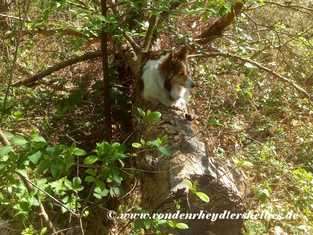 IMG_20200422_130137 IMG_20200422_130137