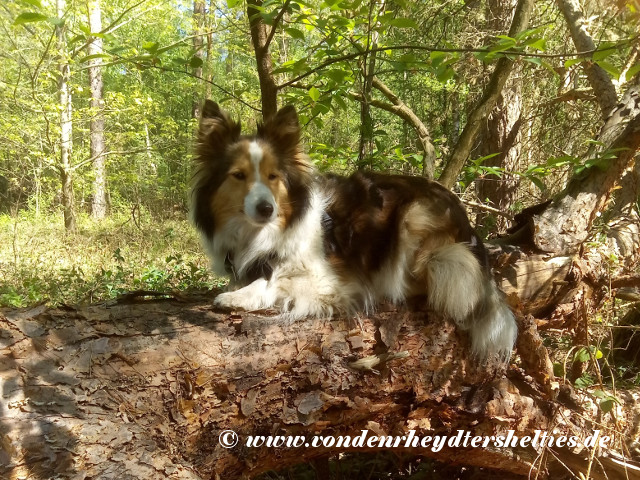 IMG_20200422_130212 IMG_20200422_130212