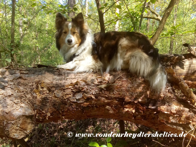 IMG_20200422_130227 IMG_20200422_130227