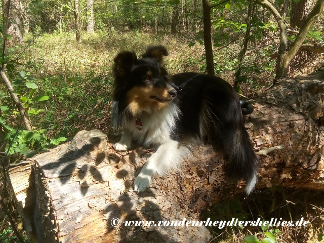 IMG_20200422_130324 IMG_20200422_130324