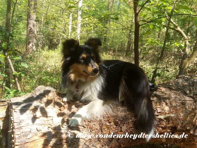 IMG_20200422_130327 IMG_20200422_130327