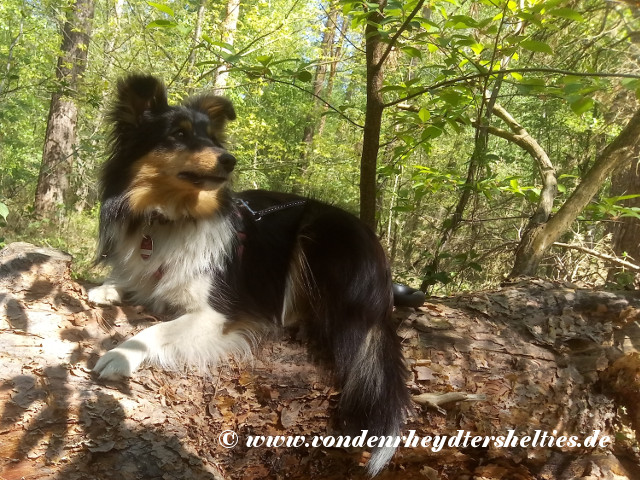 IMG_20200422_130335 IMG_20200422_130335