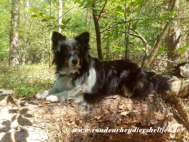 IMG_20200422_130441 IMG_20200422_130441