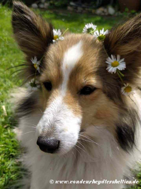 2021_05_14_______Bild_1