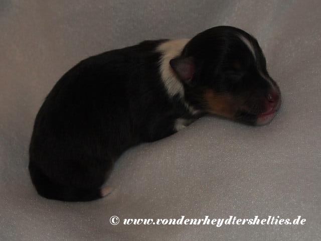 1_04122018_-_Kopie 1_04122018_-_Kopie