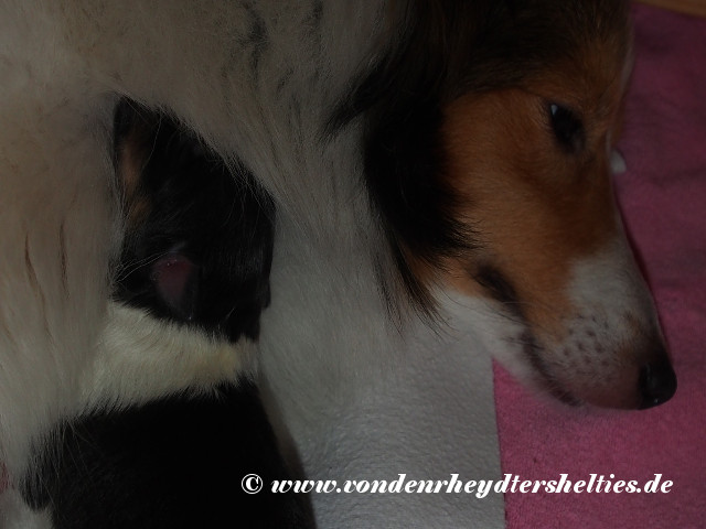 2_05022018 2_05022018