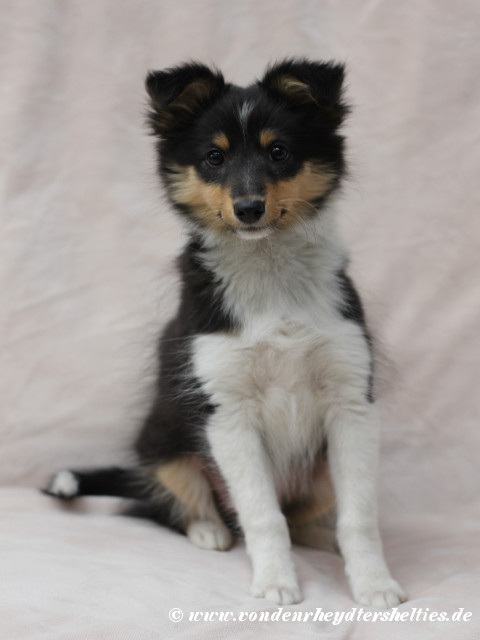 3_10032019 3_10032019