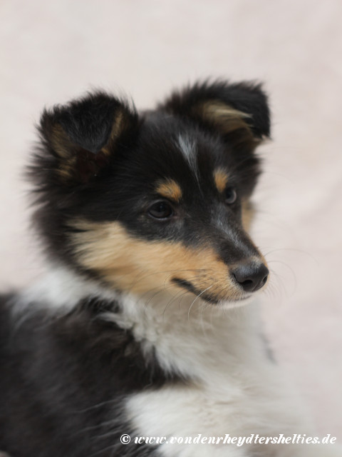 4_10032019 4_10032019