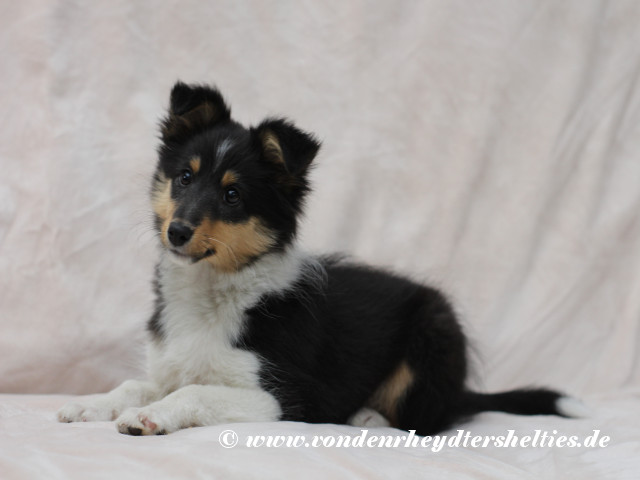 5_10032019 5_10032019