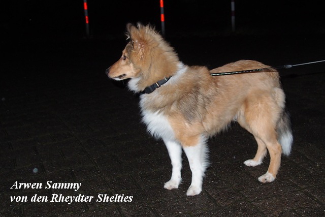 fast 6 Monate alt im Dezember 2014