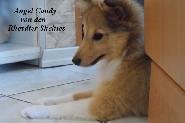 3 Monate alt  Ende September 2014 Bild 1