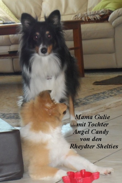 3 Monate alt  Ende September 2014 Bild 2