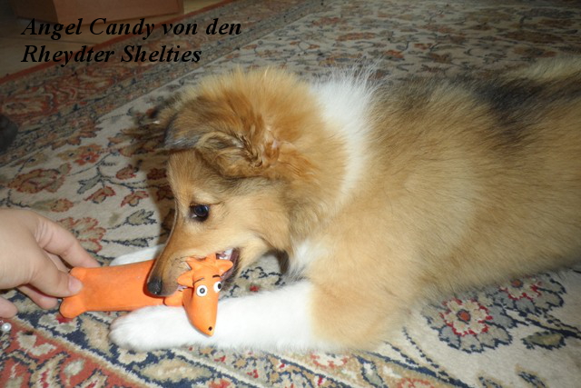 3 Monate alt Ende September 2014 Bild 3