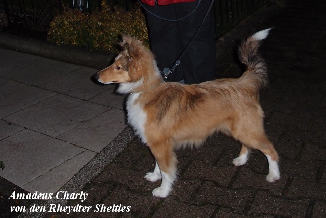 fast 6 Monate alt im Dezember 2014