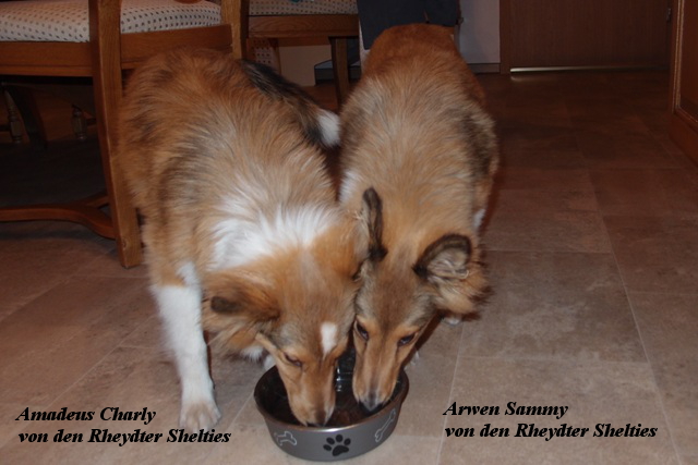 fast 6 Monate alt im Dezember 2014