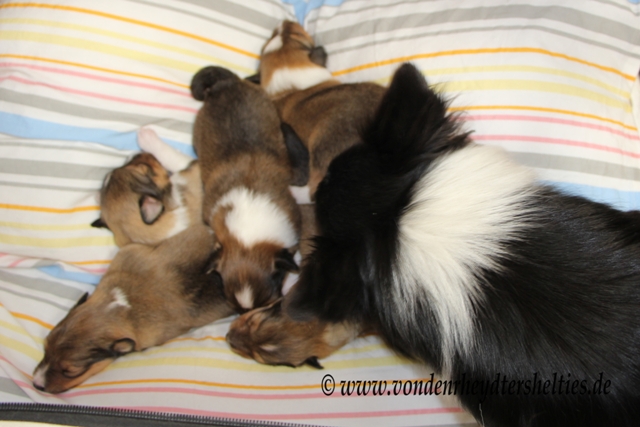 Moment nur noch Popo sauber machen 1