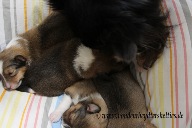 Moment nur noch Popo sauber machen 2