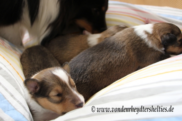 Moment nur noch Popo sauber machen 3