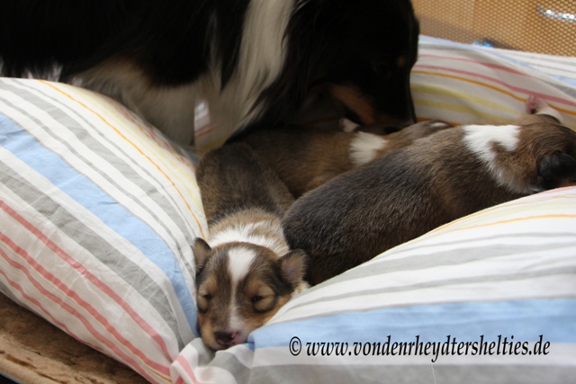 Popo immer noch nicht sauber