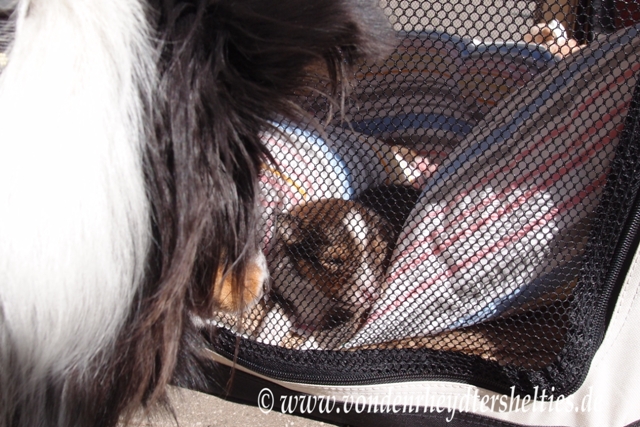 Mama machs Licht aus. Gulie und Nr. 3