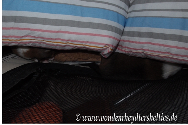 li Nr. 2 re Nr 4. Die Fahrt in der Versenkung