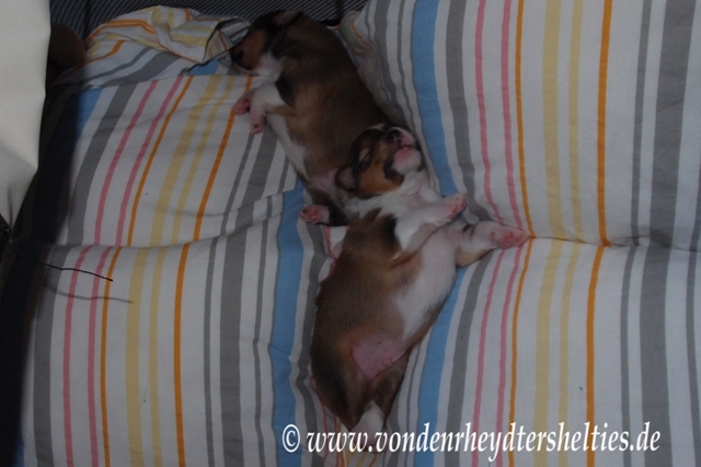 oben Nr. 1 unten Nr. 3