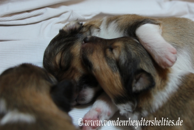 vorne Nr. 5 oben Nr. 1 vorne re Nr. 2