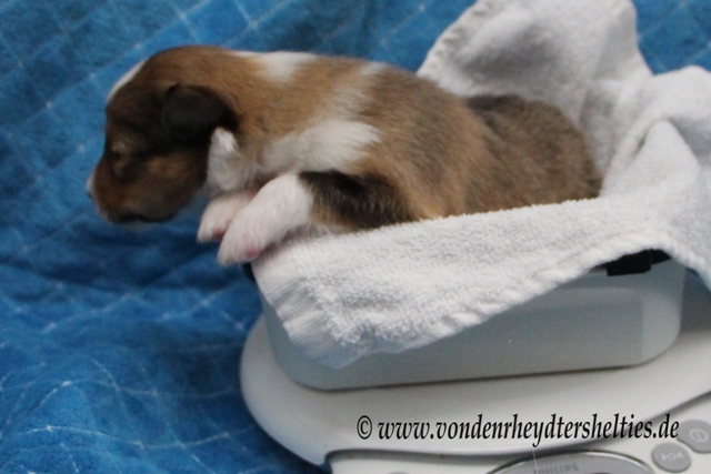 Geht es hier zu Mama