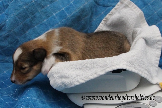 Wenn ich jetzt hier ins Rutschen komme2 Wenn ich jetzt hier ins Rutschen komme2