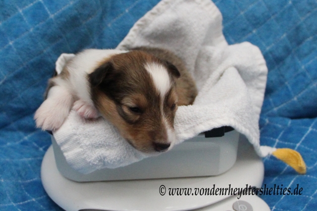 Wo ist denn der Ausgang